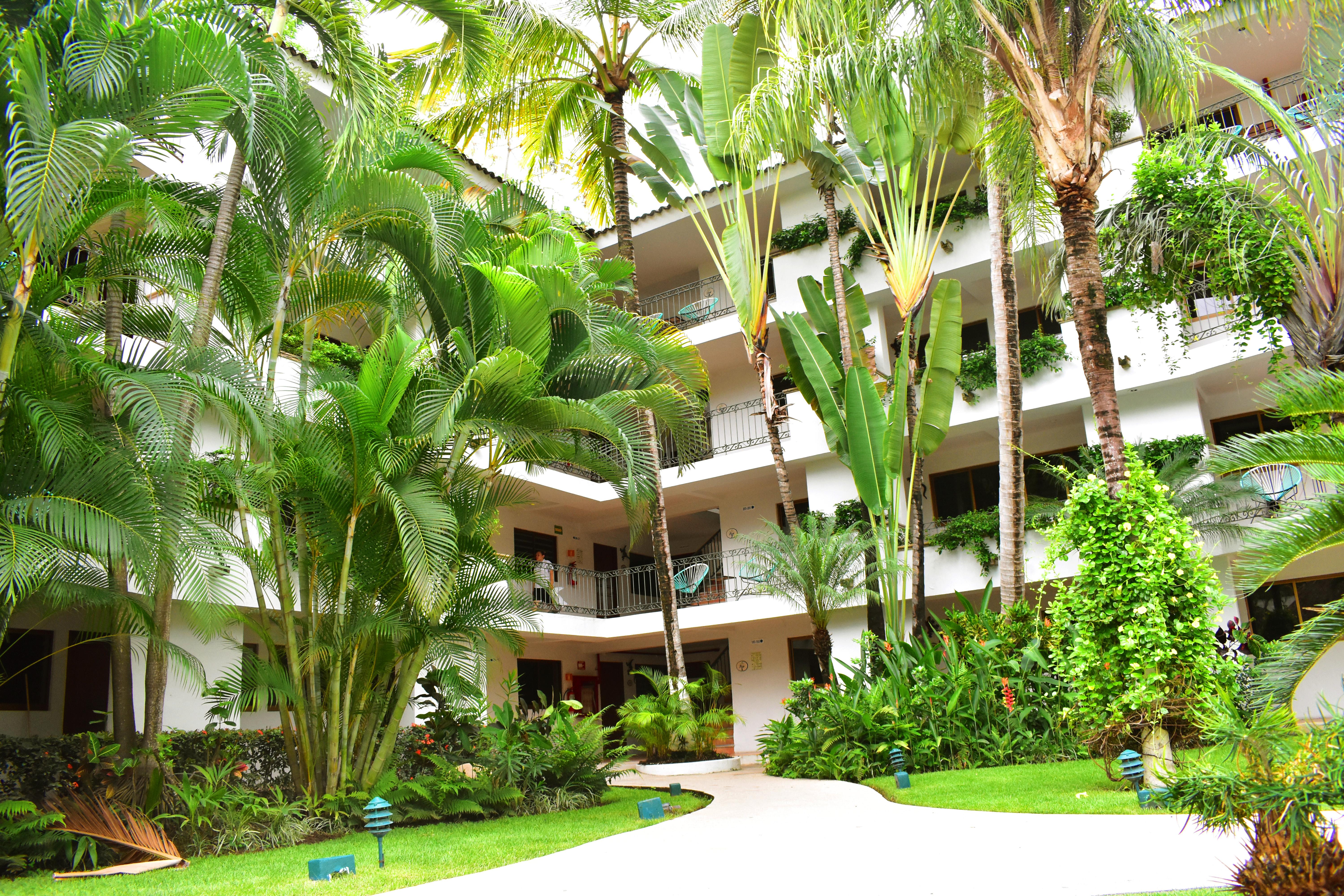 פוארטו ואלארטה Hotel Casa Iguana Mismaloya מראה חיצוני תמונה